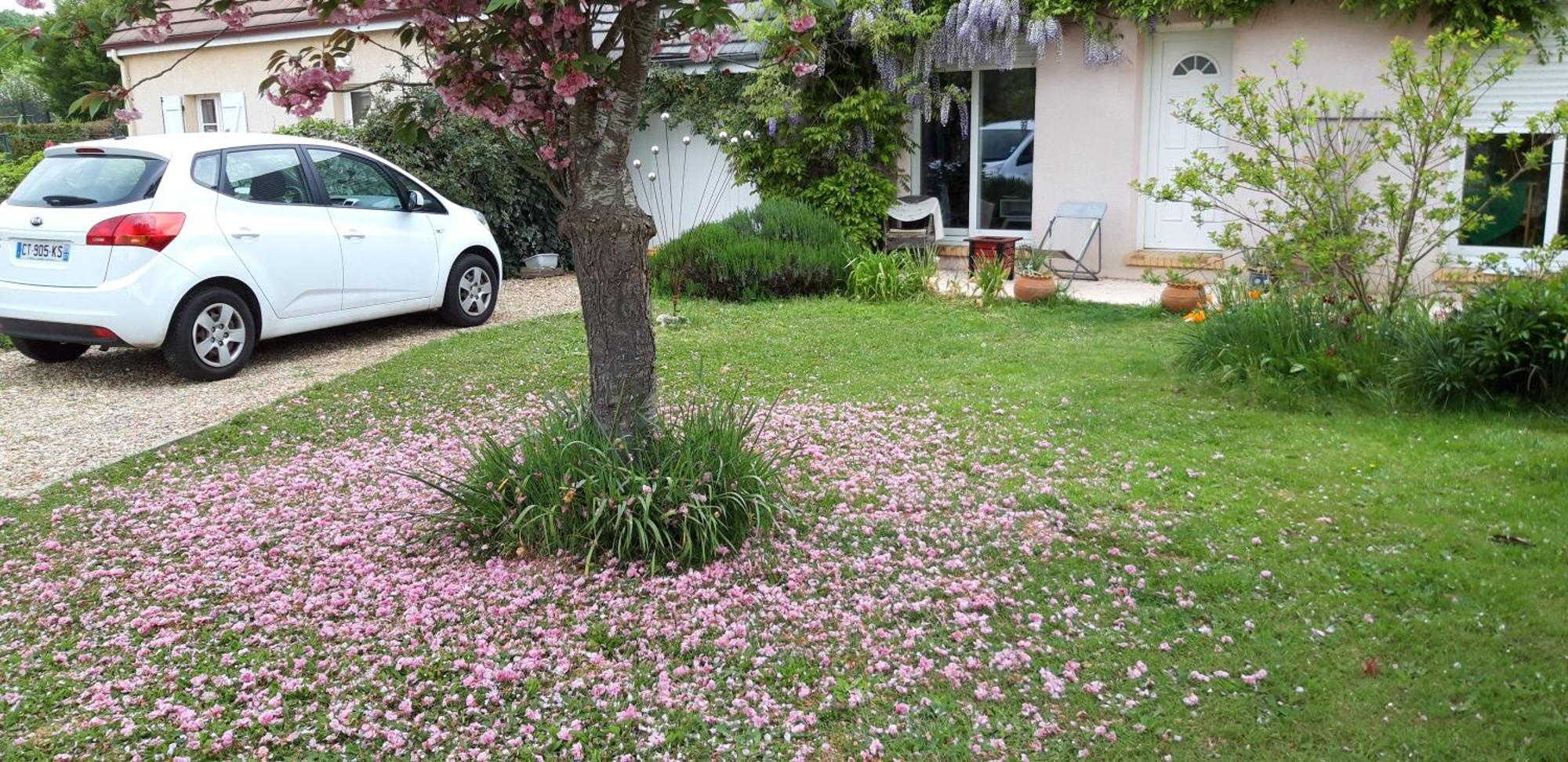 Ferienwohnung Chez Loti Louviers Exterior foto